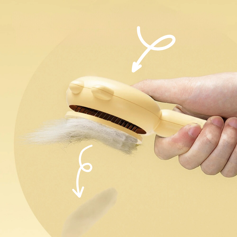 Brosse magique pour animaux