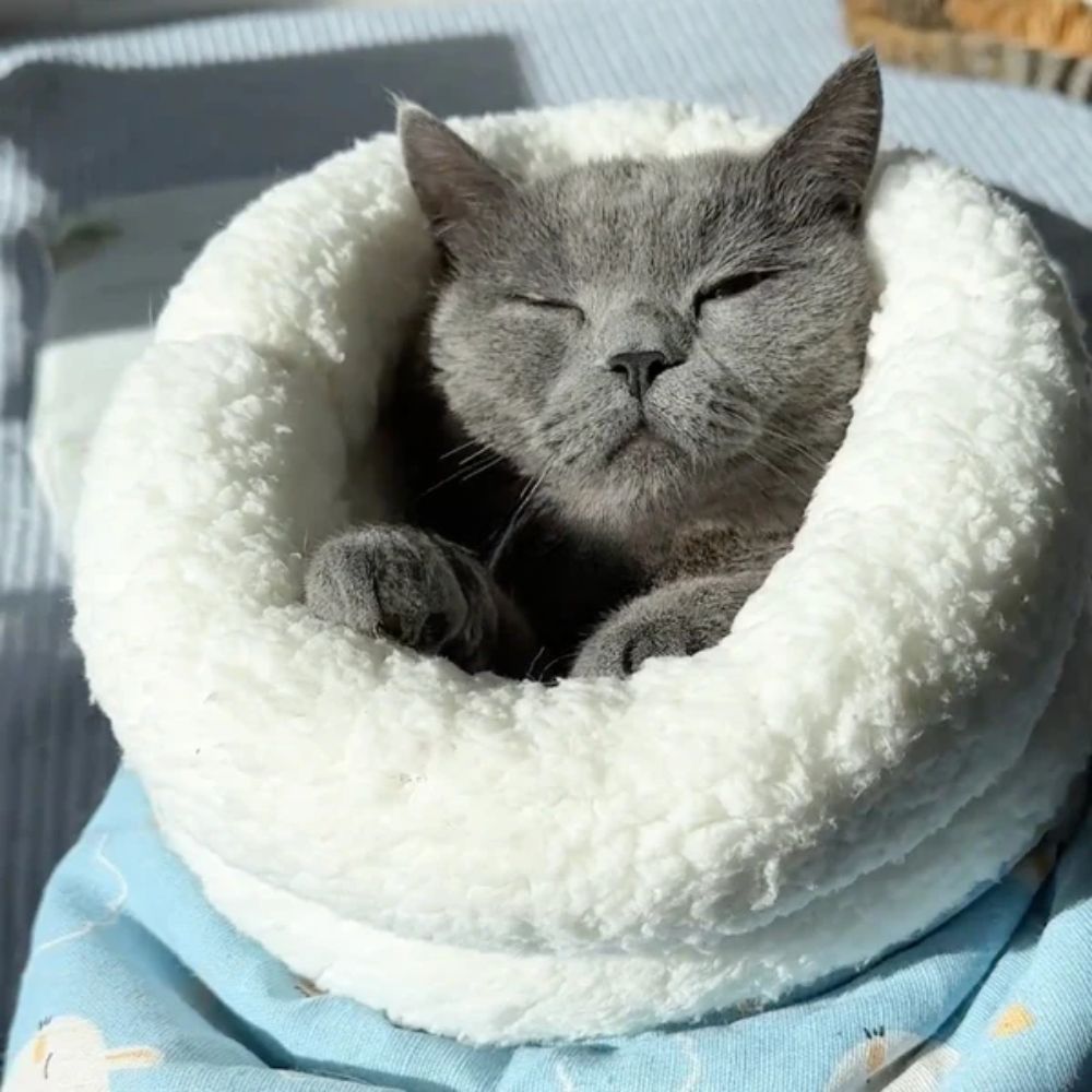 Sac apaisant pour chat